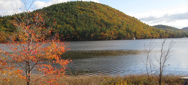 Wetlands Delineation
